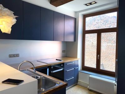 Rental Luxury duplex Lille 4&nbsp;Rooms 82&nbsp;m²