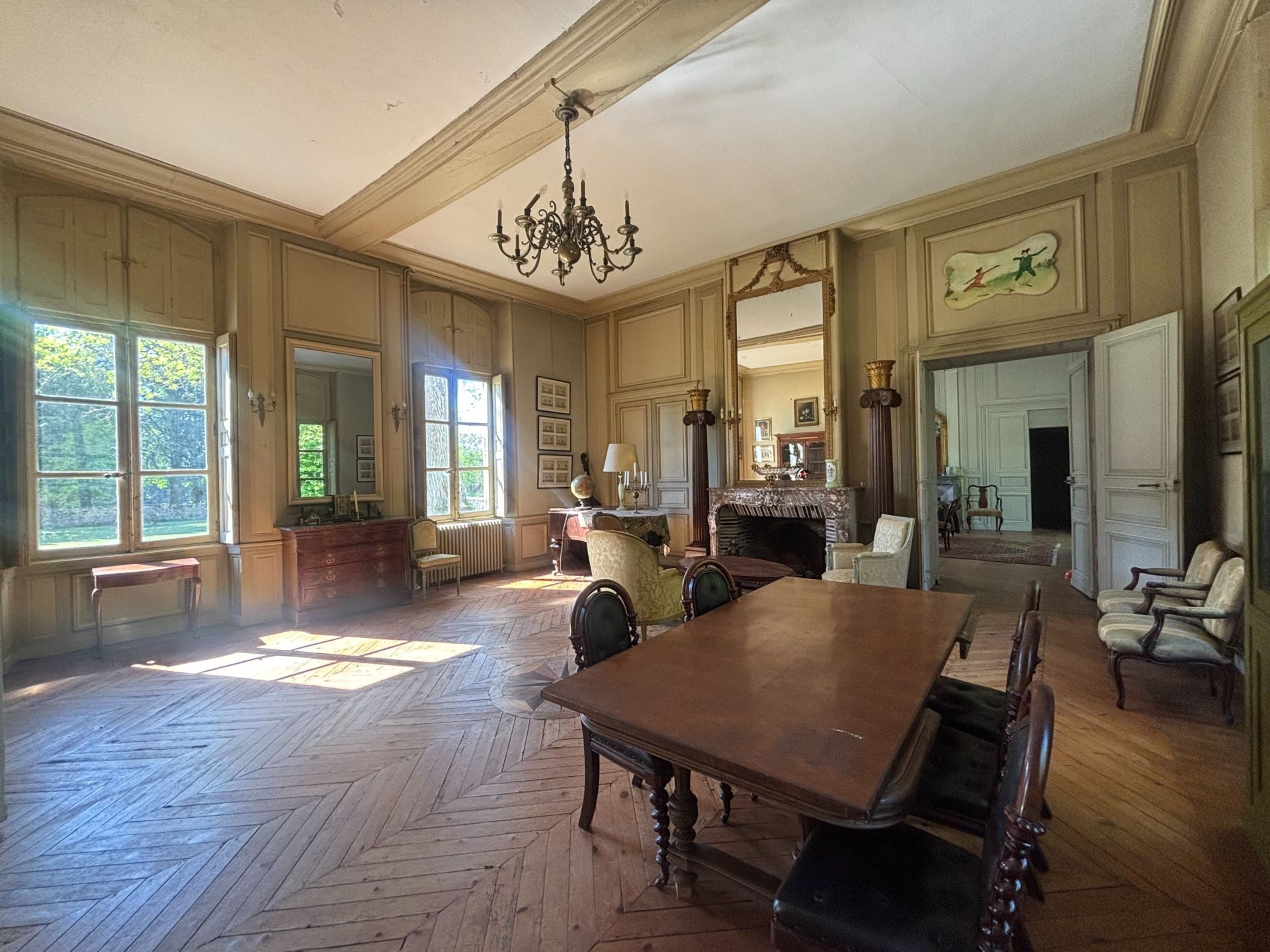 château 22 Pièces en vente sur MEUNG SUR LOIRE (45130)