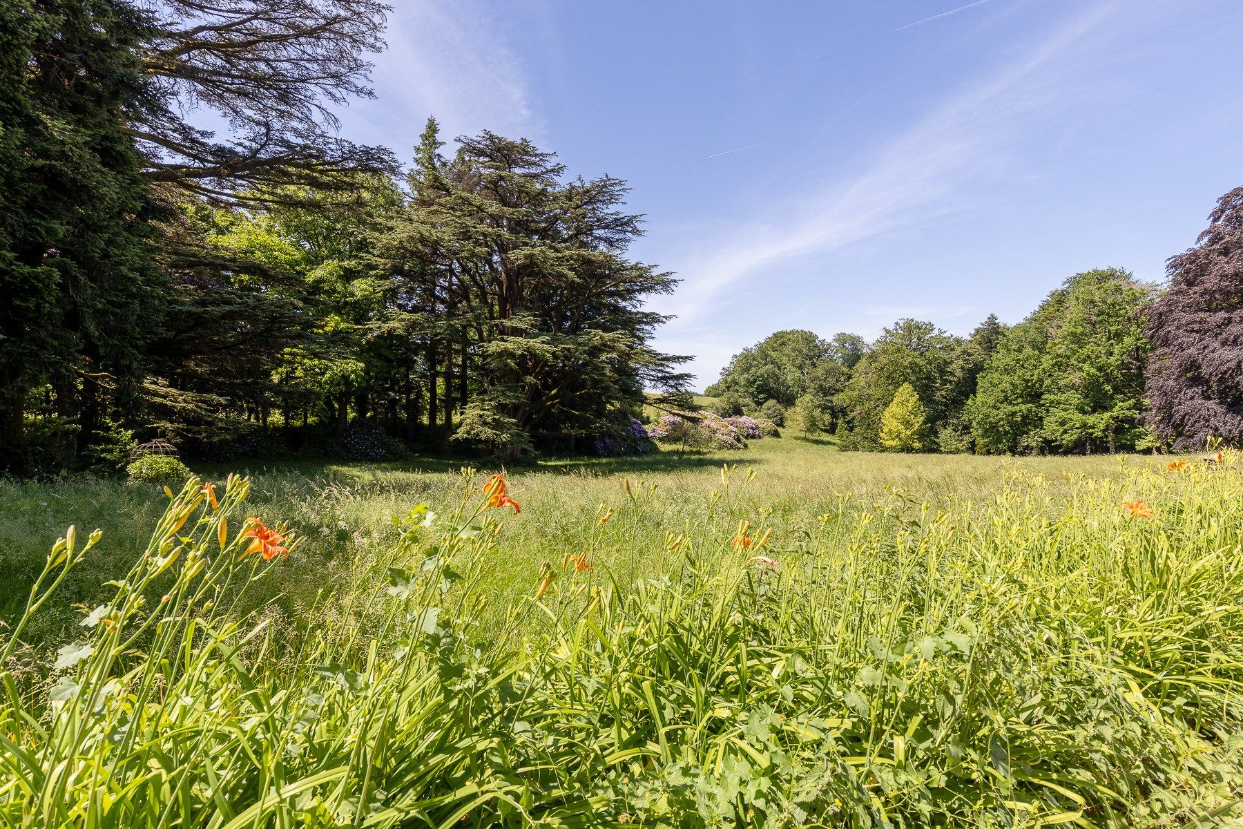 mansion 42 Rooms for sale on SOREZE (81540)