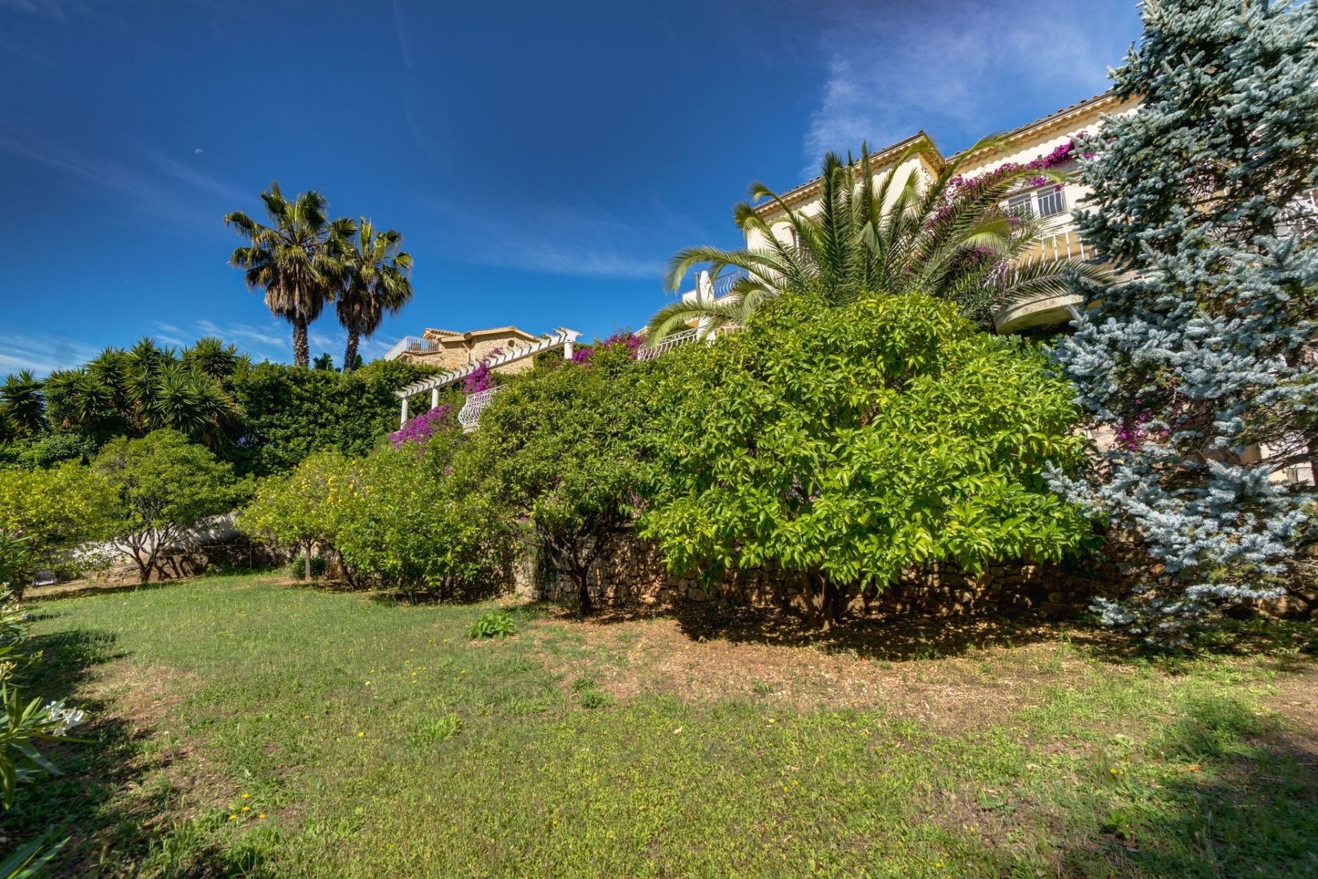 luxury villa 6 Rooms for sale on VALLAURIS (06220)