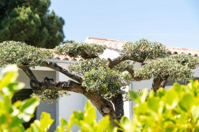 Sale Luxury house Le Bois-Plage-en-Ré 9&nbsp;Rooms 260&nbsp;m²