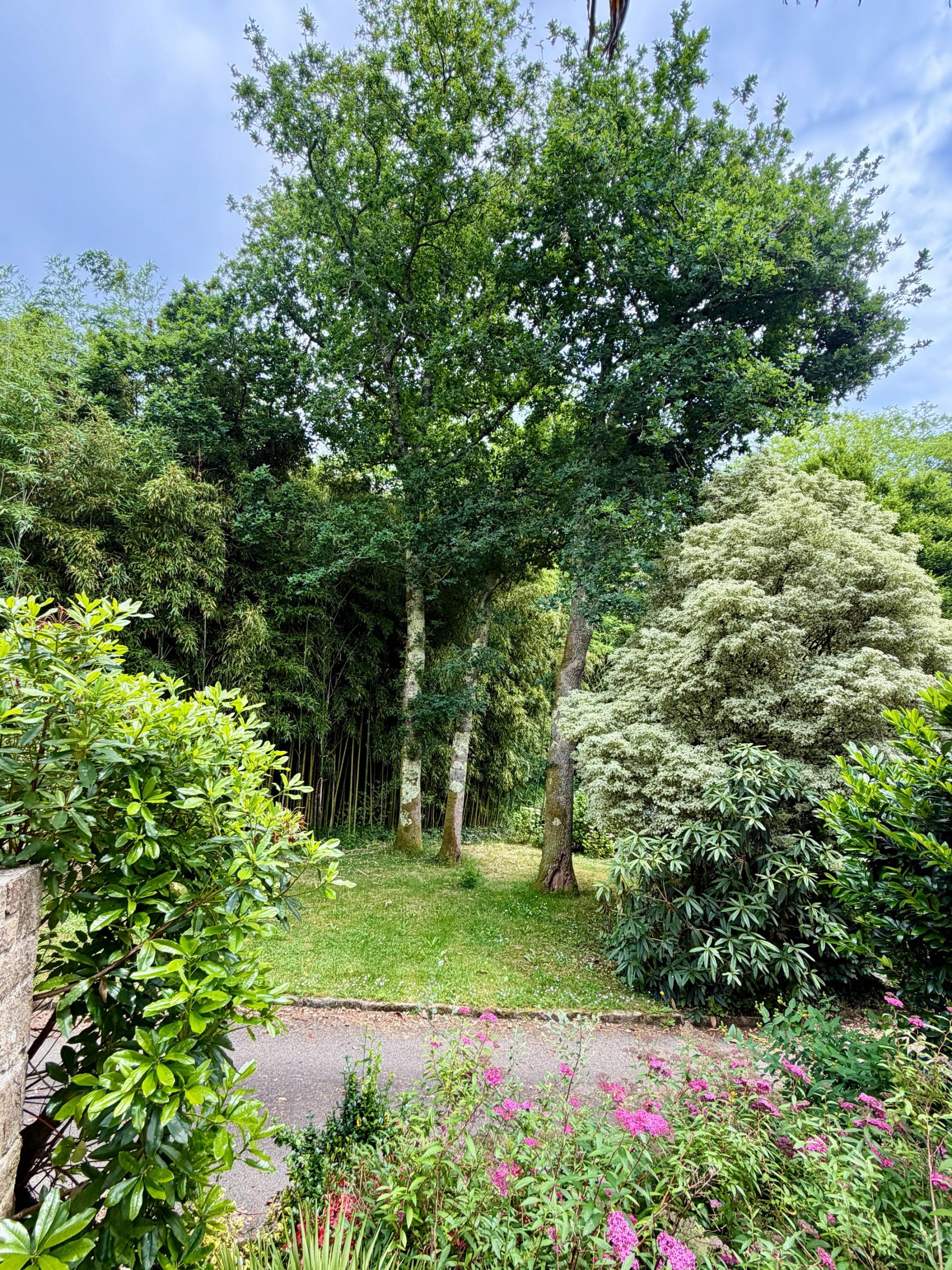 luxury house 12 Rooms for sale on QUIMPER (29000)