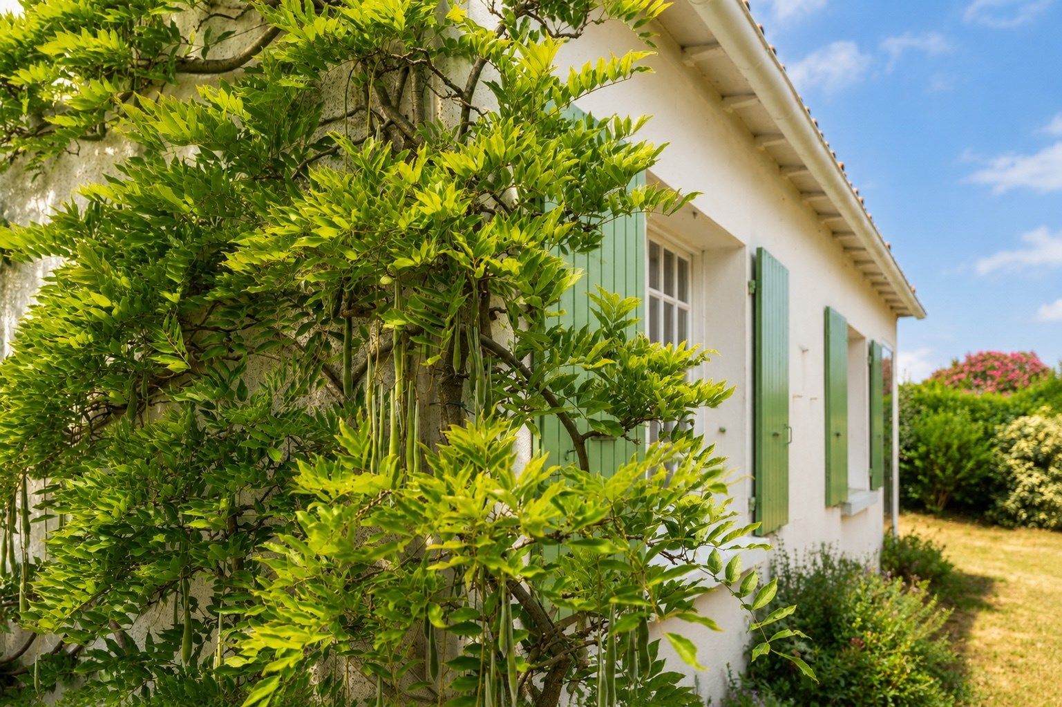 luxury house 5 Rooms for sale on LOIX (17111)