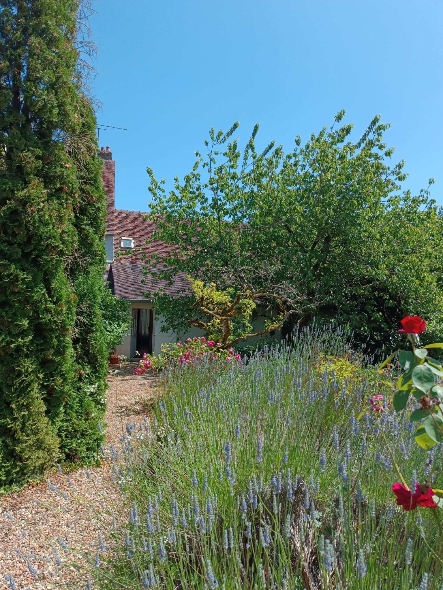 maison de luxe 12 Pièces en vente sur BLOIS (41000)