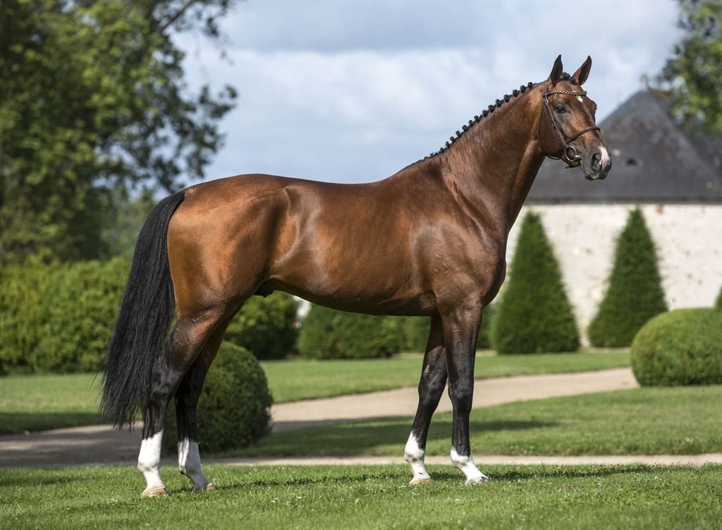 equestrian property 23 Rooms for sale on PETIT MARS (44390)