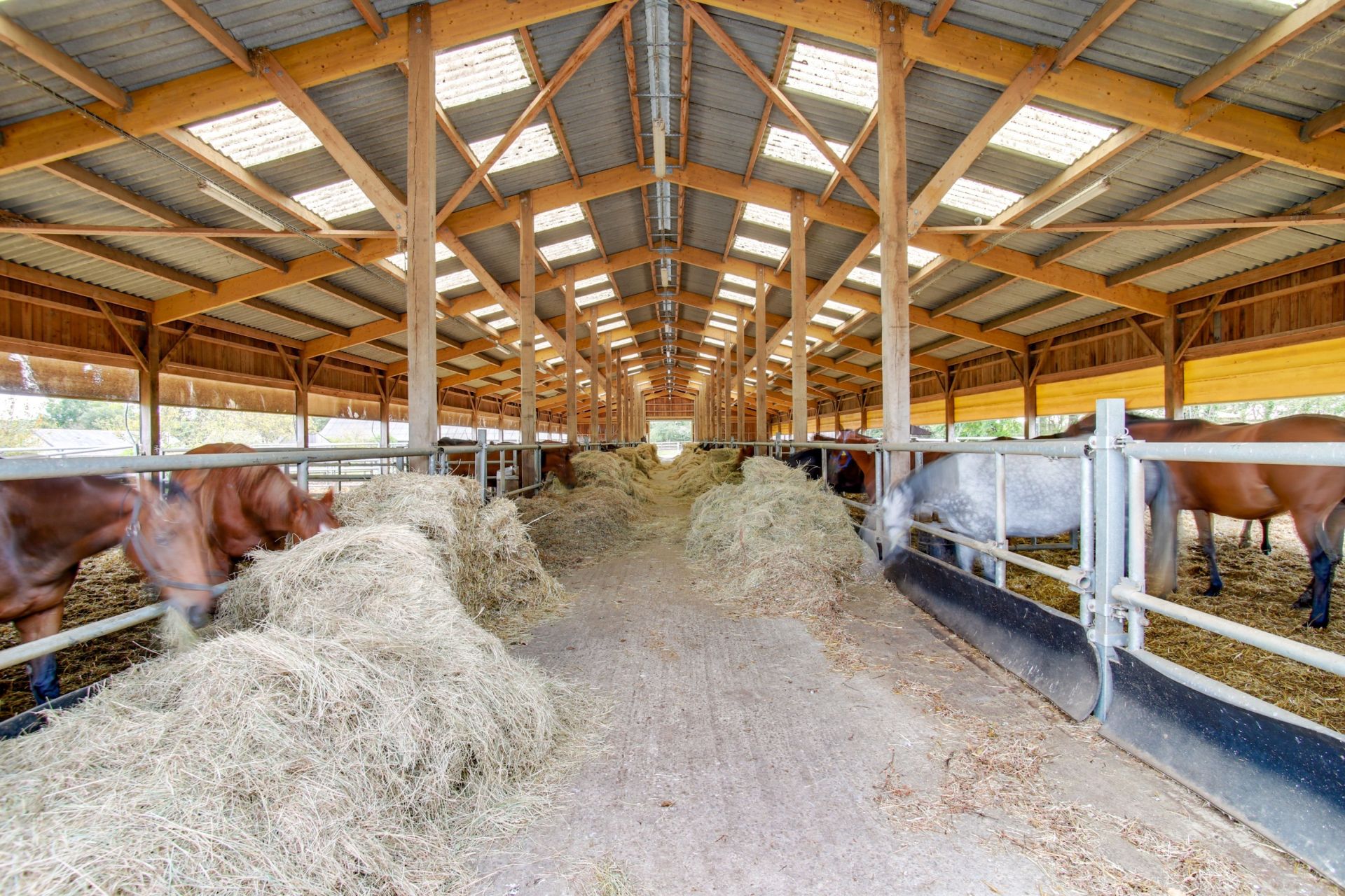 equestrian property 23 Rooms for sale on PETIT MARS (44390)