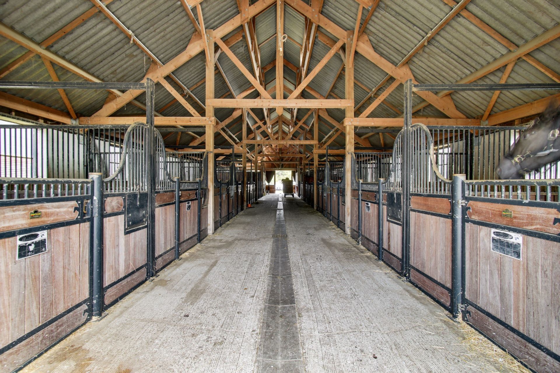 equestrian property 23 Rooms for sale on PETIT MARS (44390)