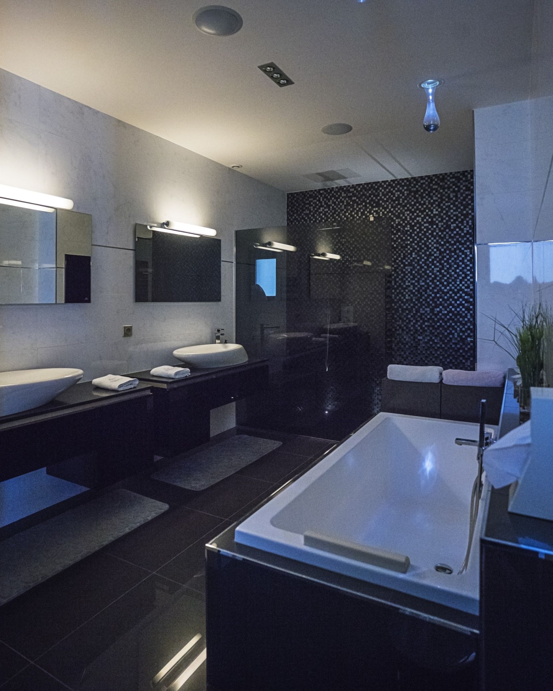 maison de luxe 17 Pièces en vente sur MONTPELLIER (34000)