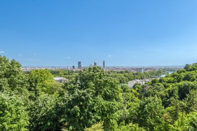 Vente Maison de luxe Caluire-et-Cuire 12&nbsp;Pièces 450&nbsp;m²