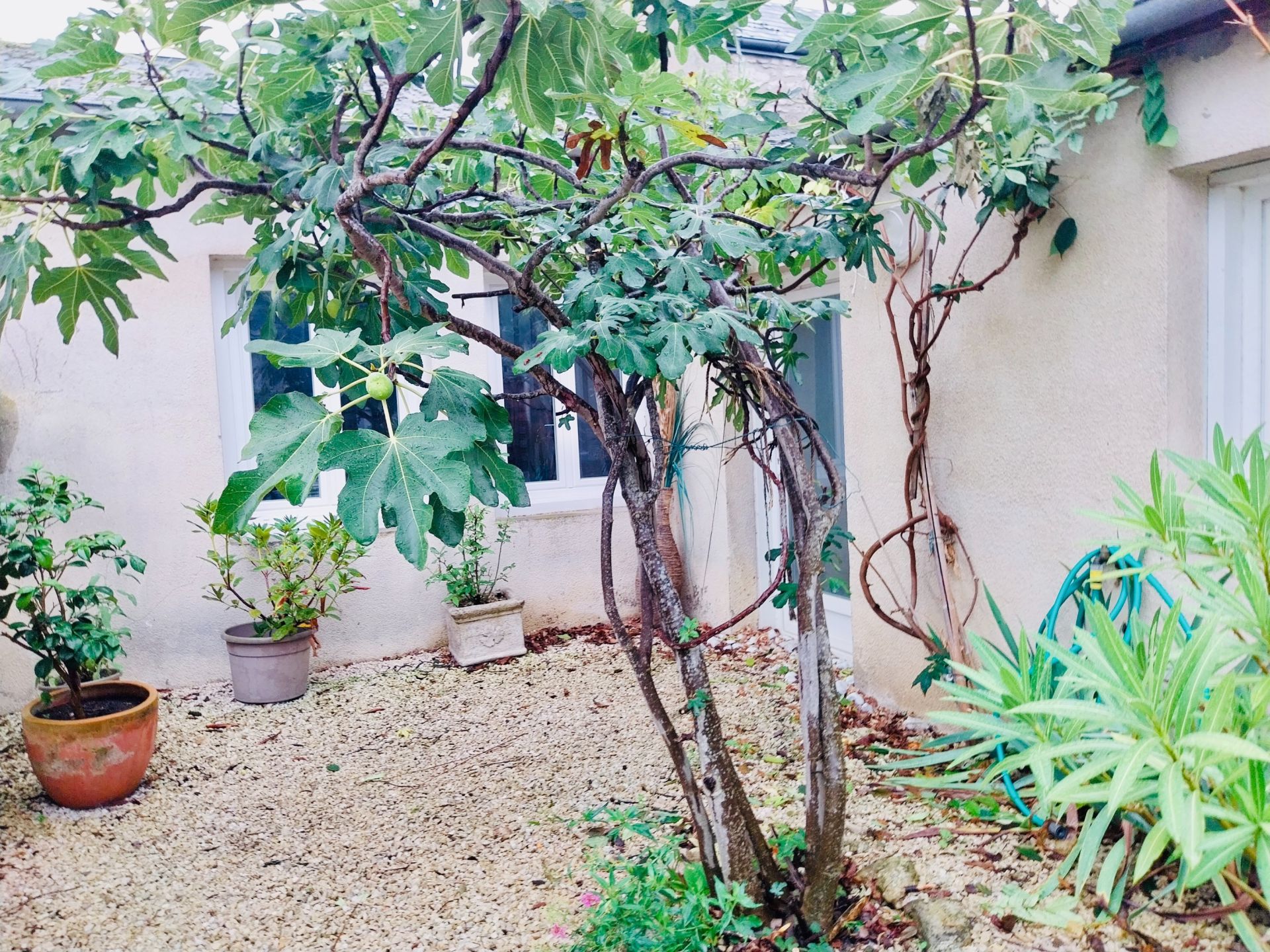 luxury house 6 Rooms for sale on ORLEANS (45000)