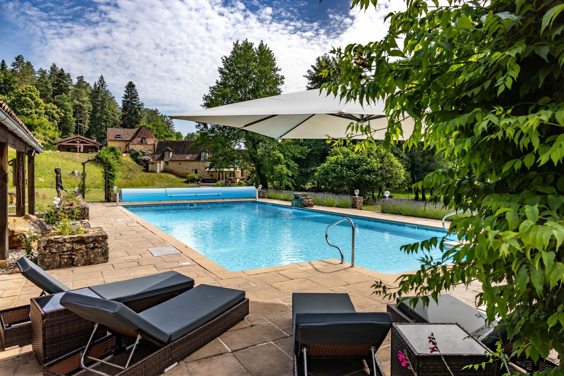 luxury house 15 Rooms for sale on LES EYZIES (24260)