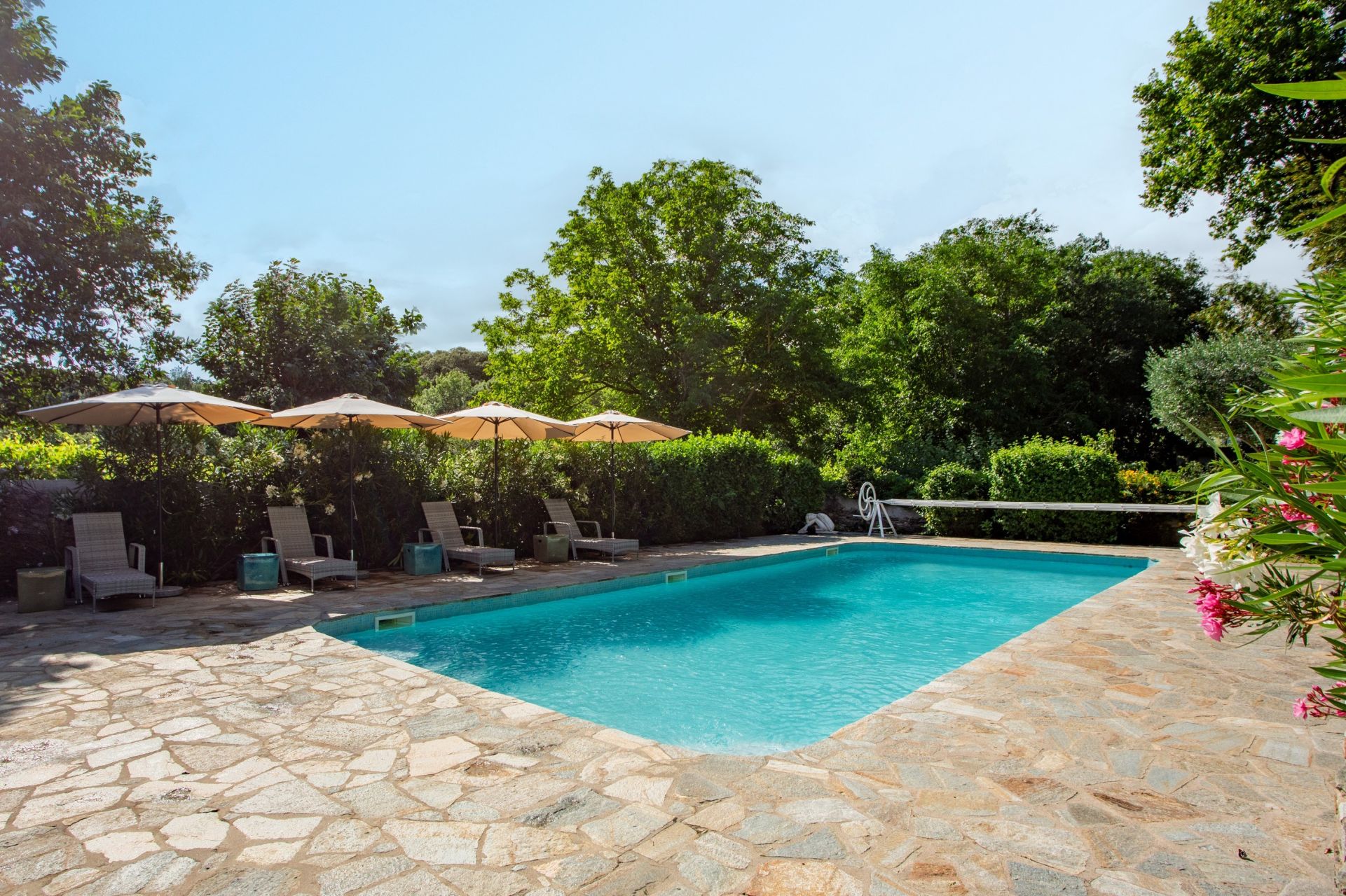 propriété de luxe 13 Pièces en vente sur FAUGERES (34600)