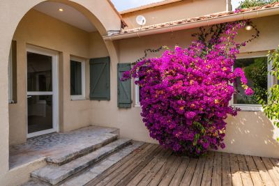 Rental Luxury house Cassis 5&nbsp;Rooms 129&nbsp;m²