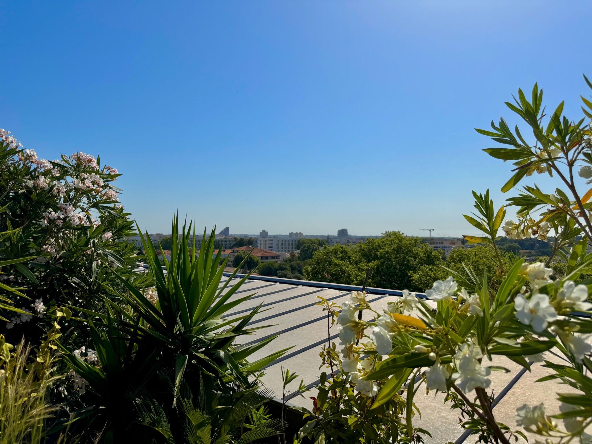 appartement de luxe 4 Pièces en vente sur MONTPELLIER (34000)