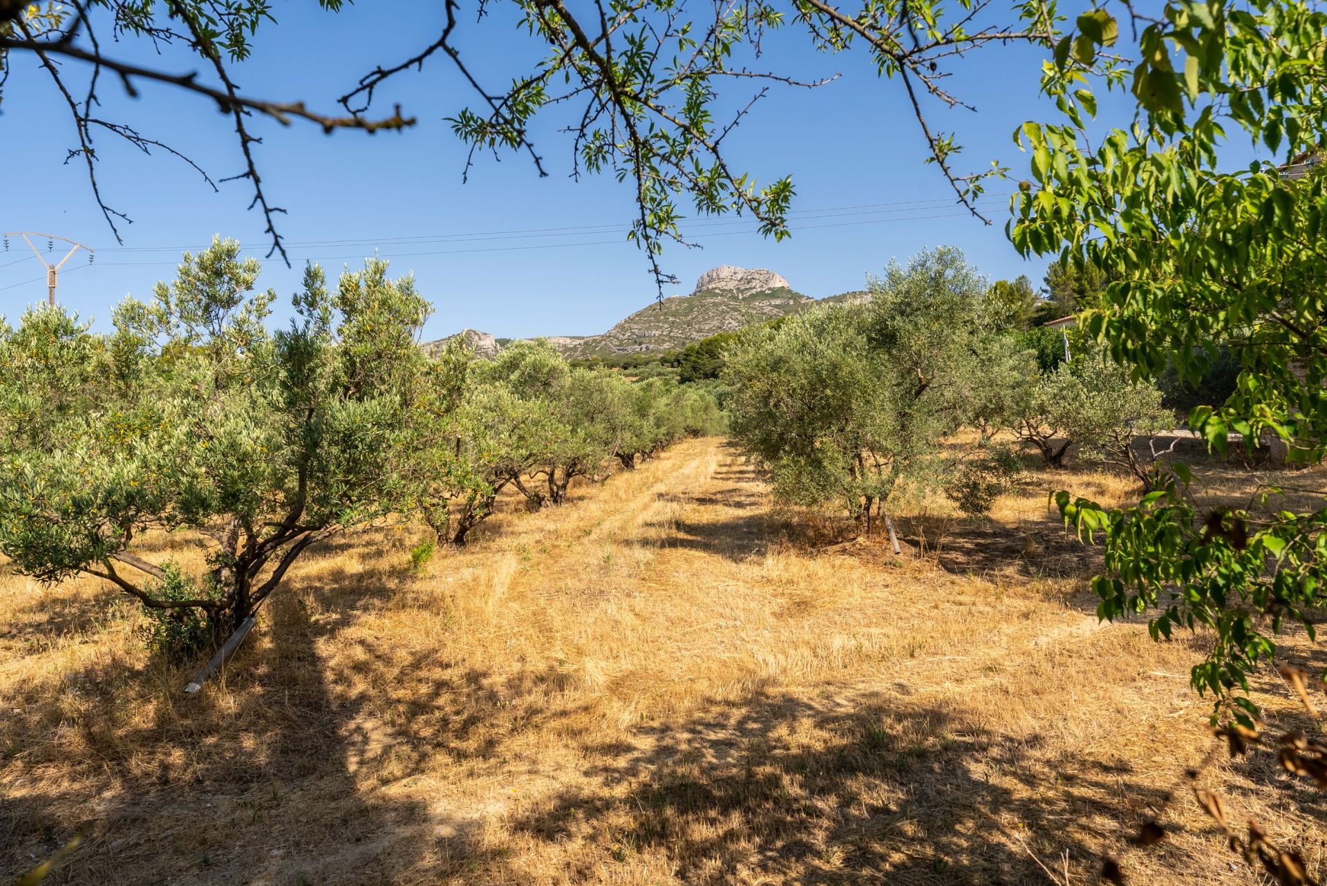 luxury house 5 Rooms for rent on AUBAGNE (13400)
