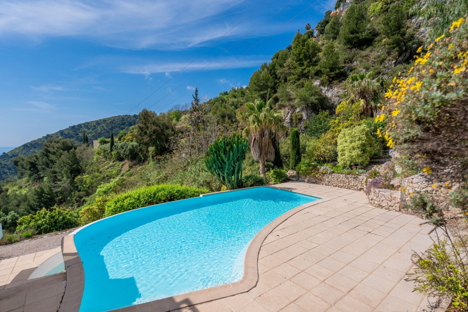 luxury villa 7 Rooms for sale on EZE (06360)