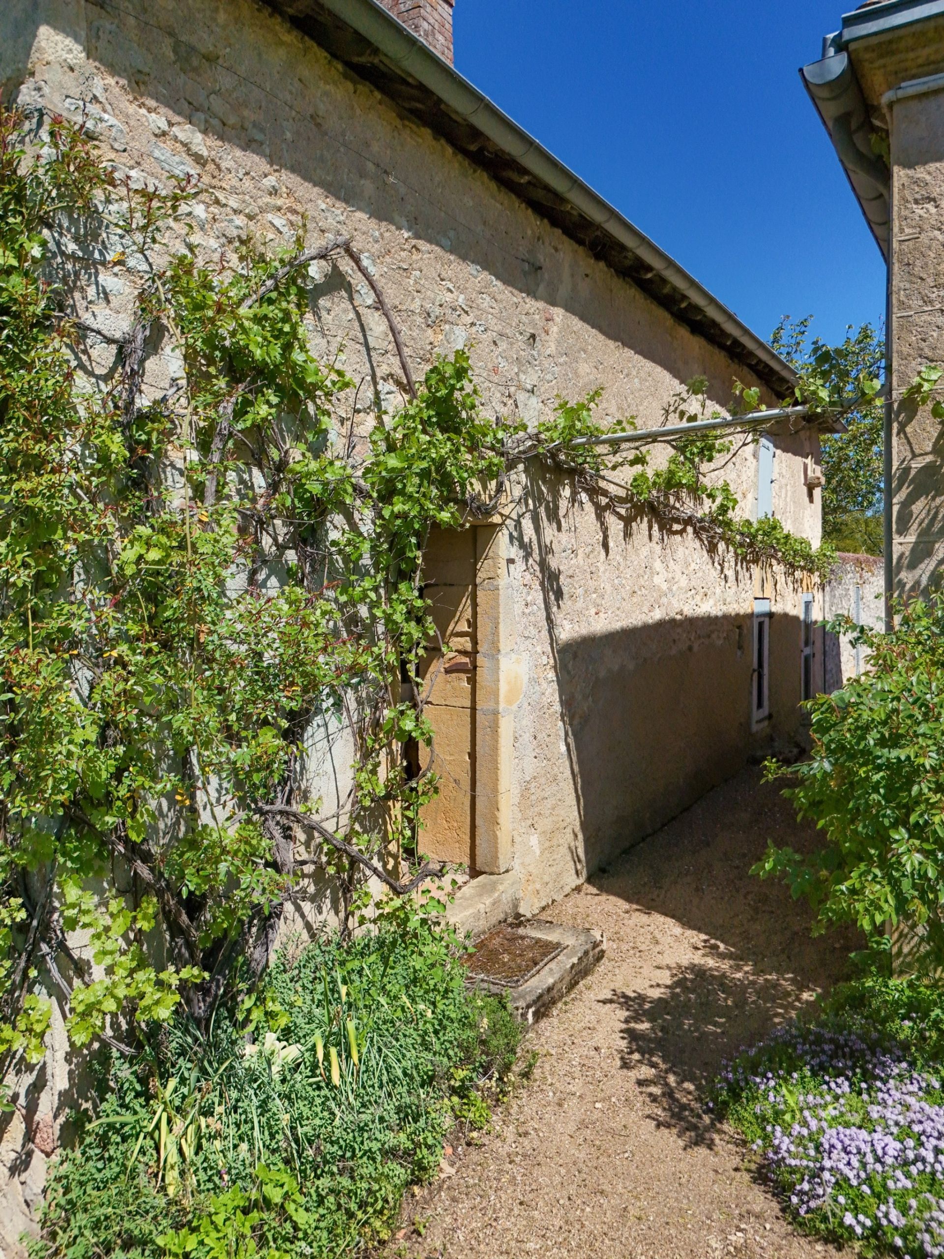 luxury house 8 Rooms for sale on CHAROLLES (71120)