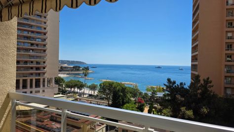 Vente Appartement de luxe Monaco 1&nbsp;pièce 50&nbsp;m²