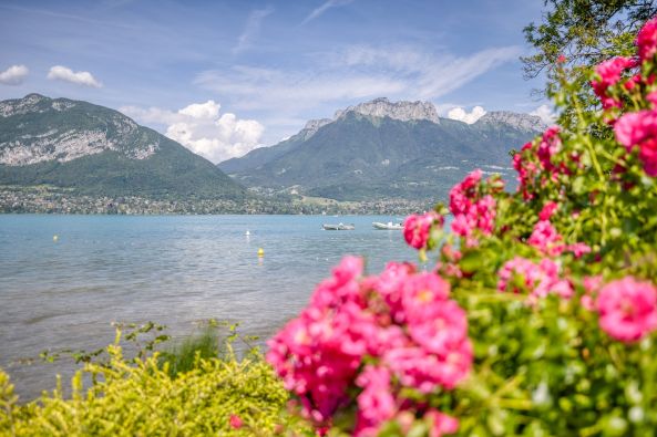 Vente Maison de luxe Annecy 25&nbsp;Pièces 1000&nbsp;m²