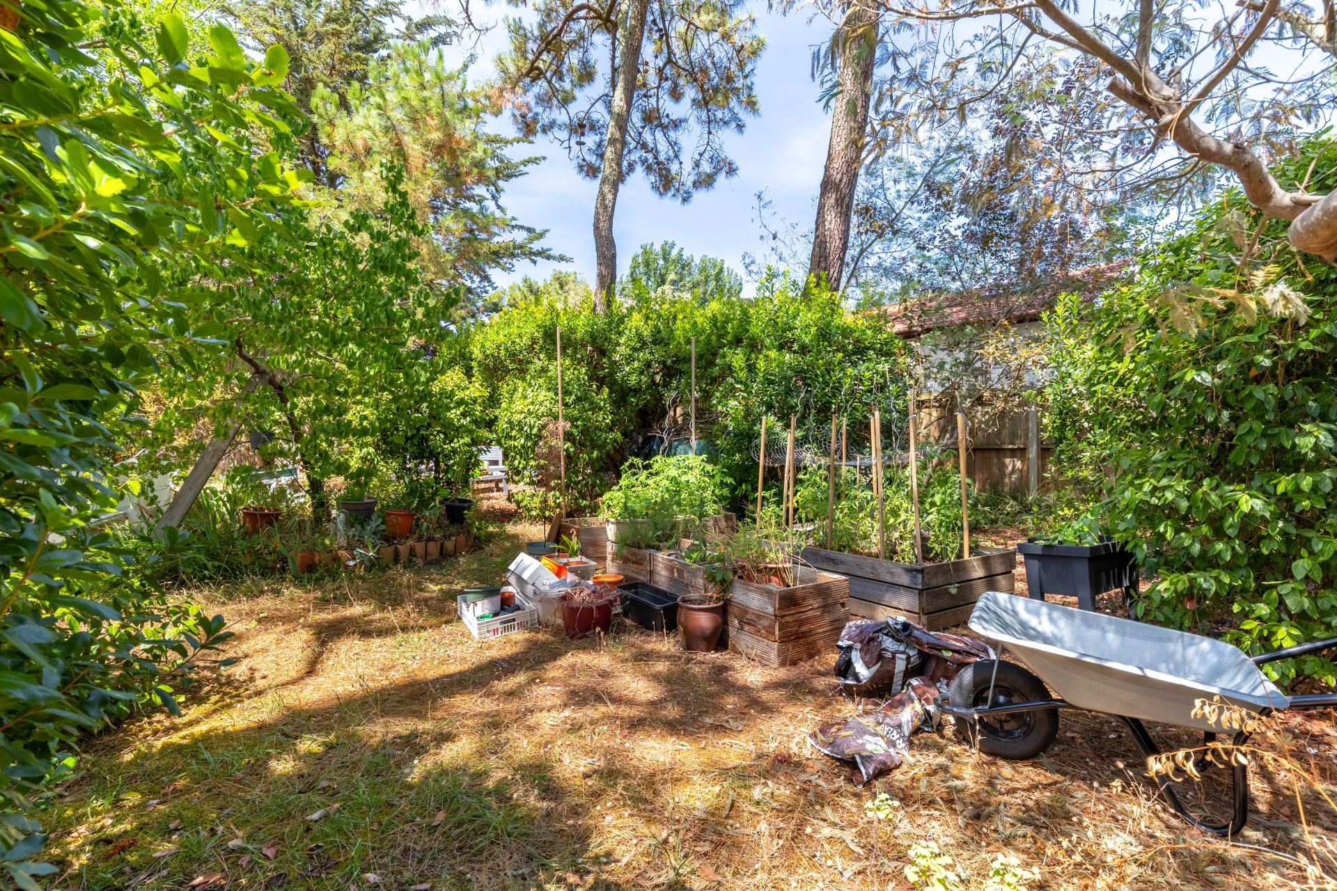 maison de luxe 7 Pièces en vente sur CAP FERRET (33970)