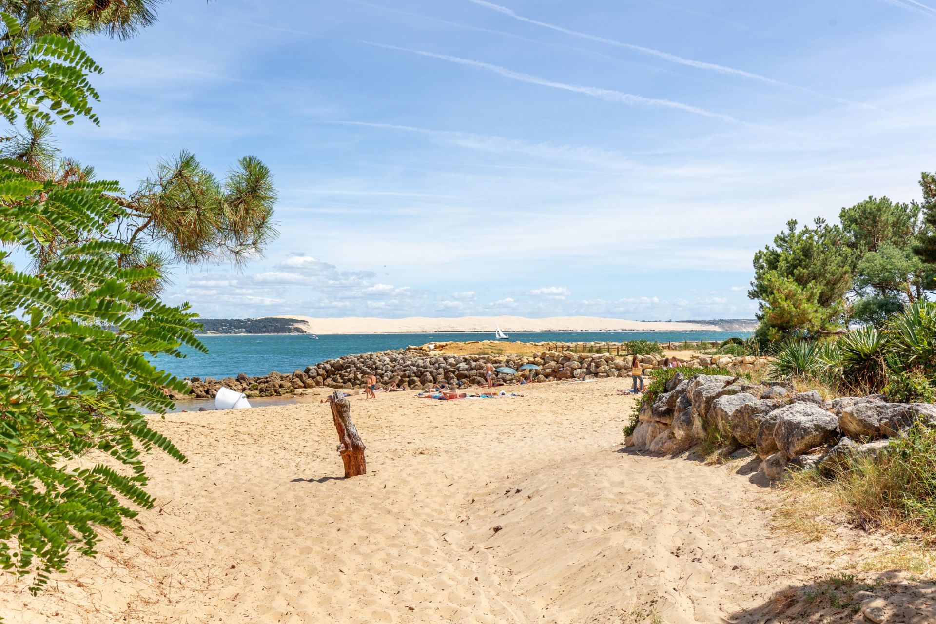maison de luxe 7 Pièces en vente sur CAP FERRET (33970)