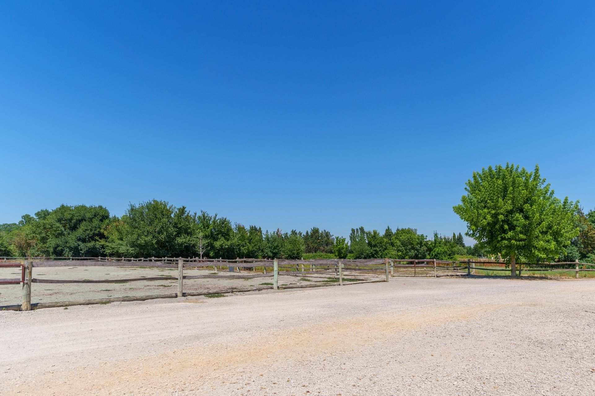 equestrian property 6 Rooms for sale on MONTPELLIER (34000)
