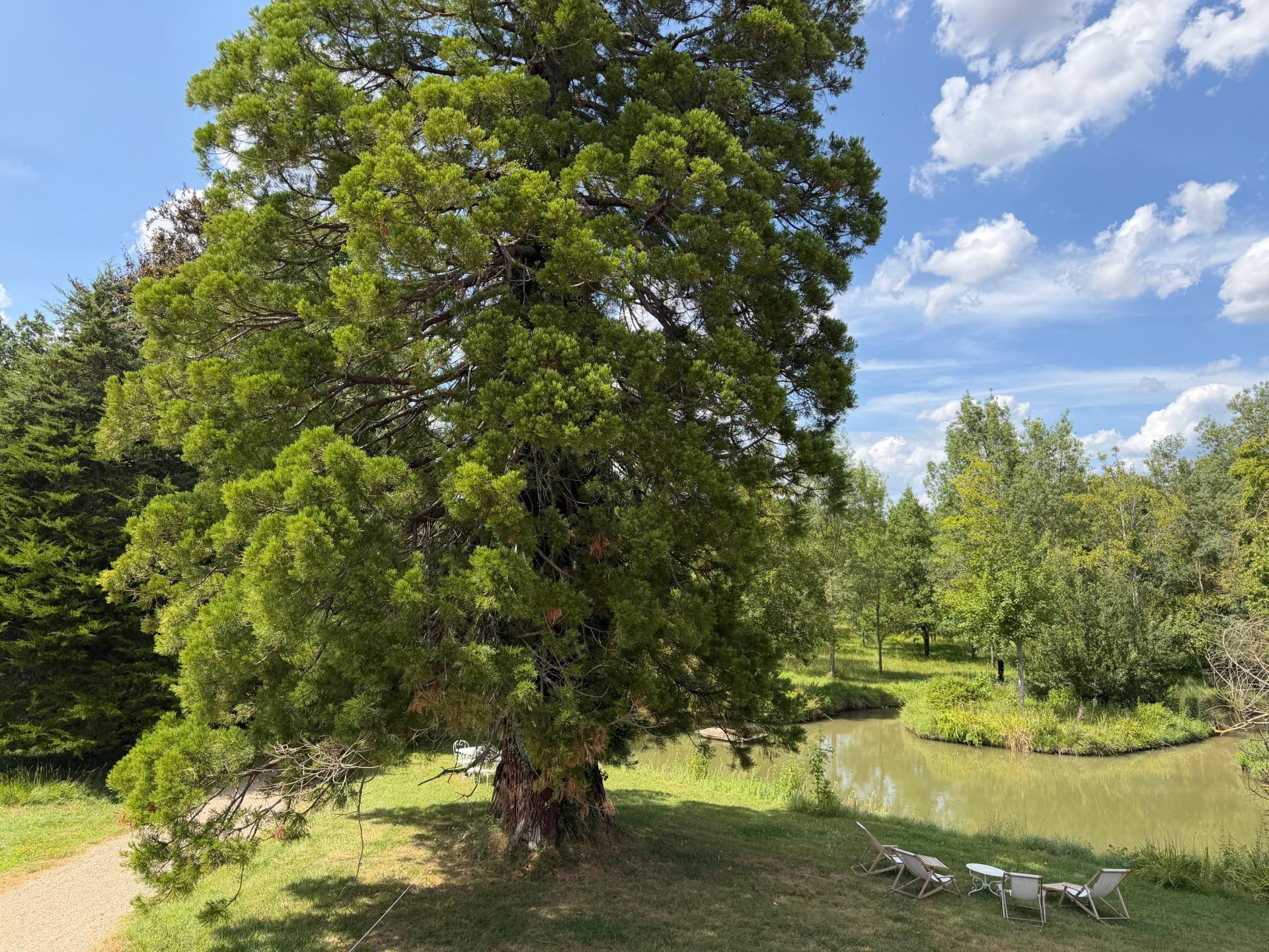 château 14 Pièces en vente sur CHINON (37500)
