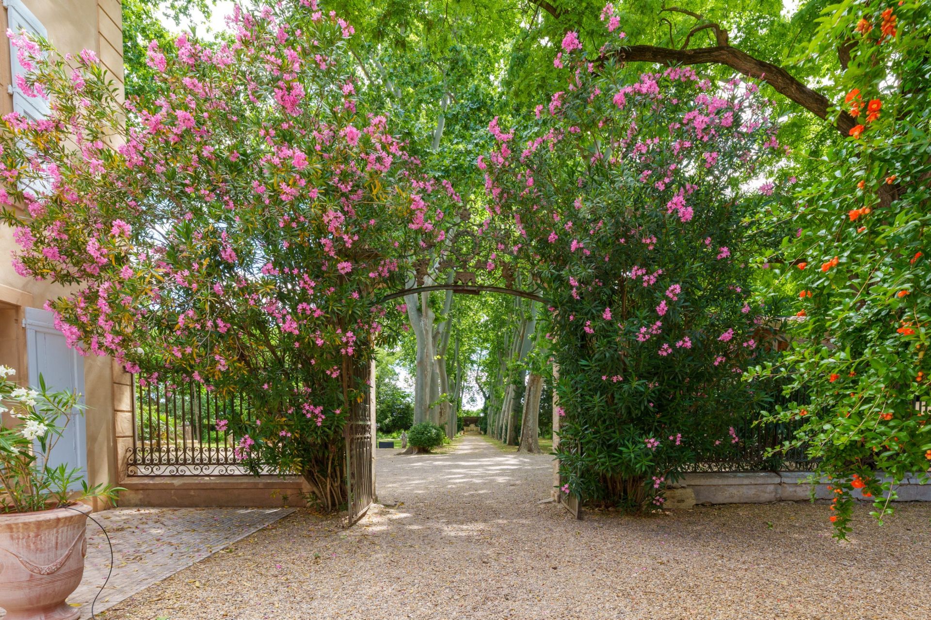 château 16 Pièces en vente sur ST PARGOIRE (34230)