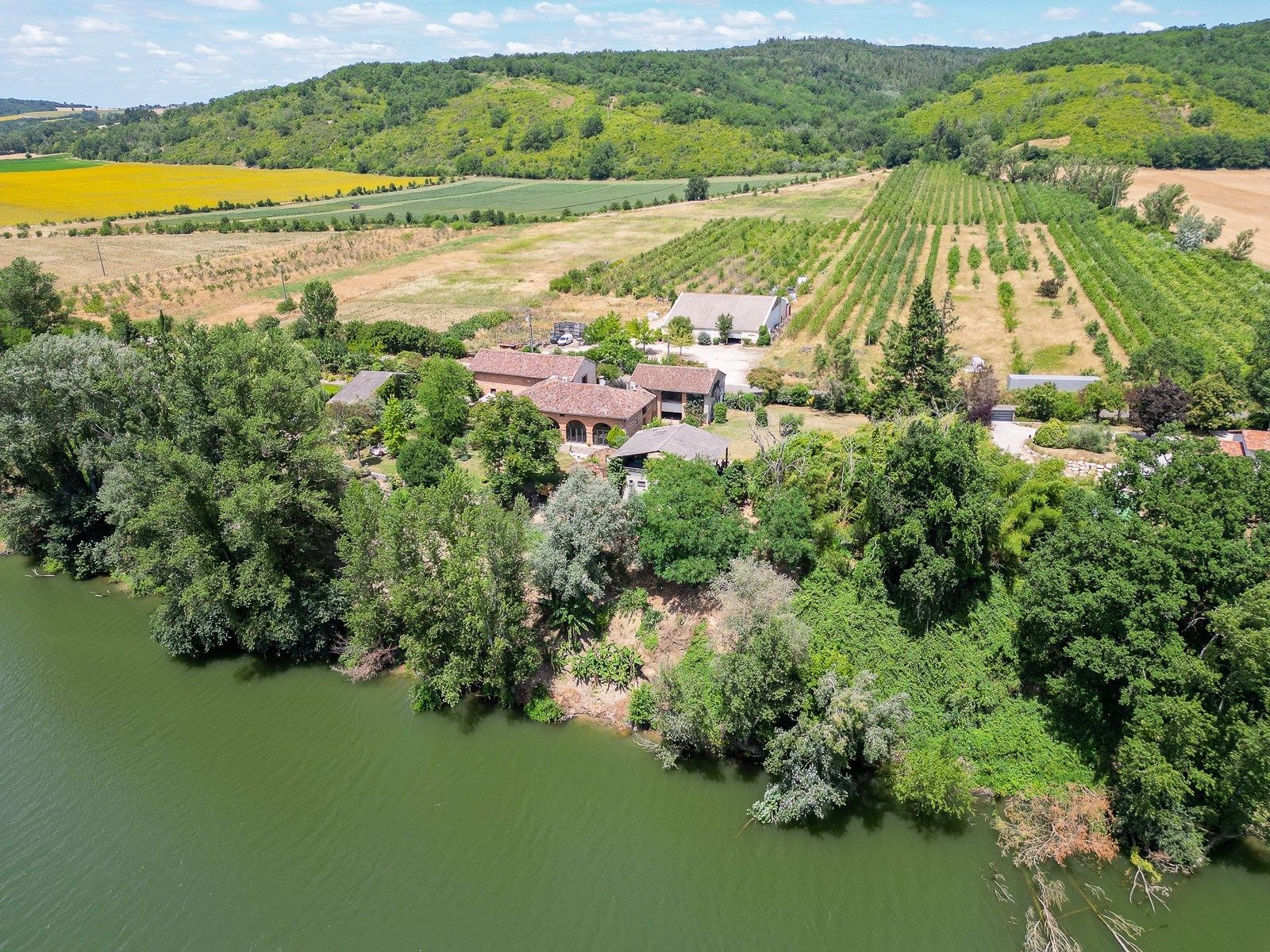 maison de luxe 10 Pièces en vente sur BUZET SUR TARN (31660)