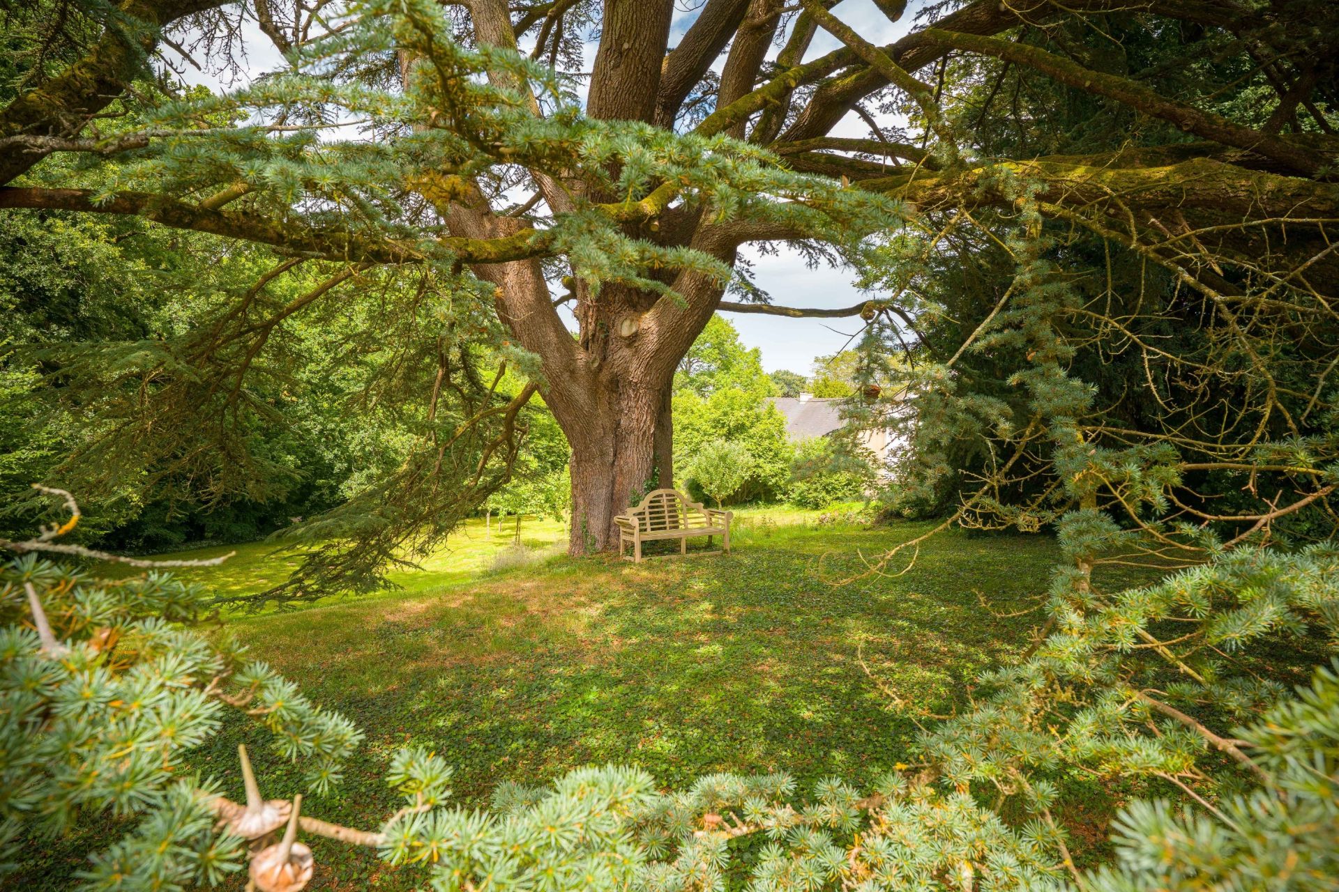 luxury house 8 Rooms for sale on GRANDCHAMP DES FONTAINES (44119)