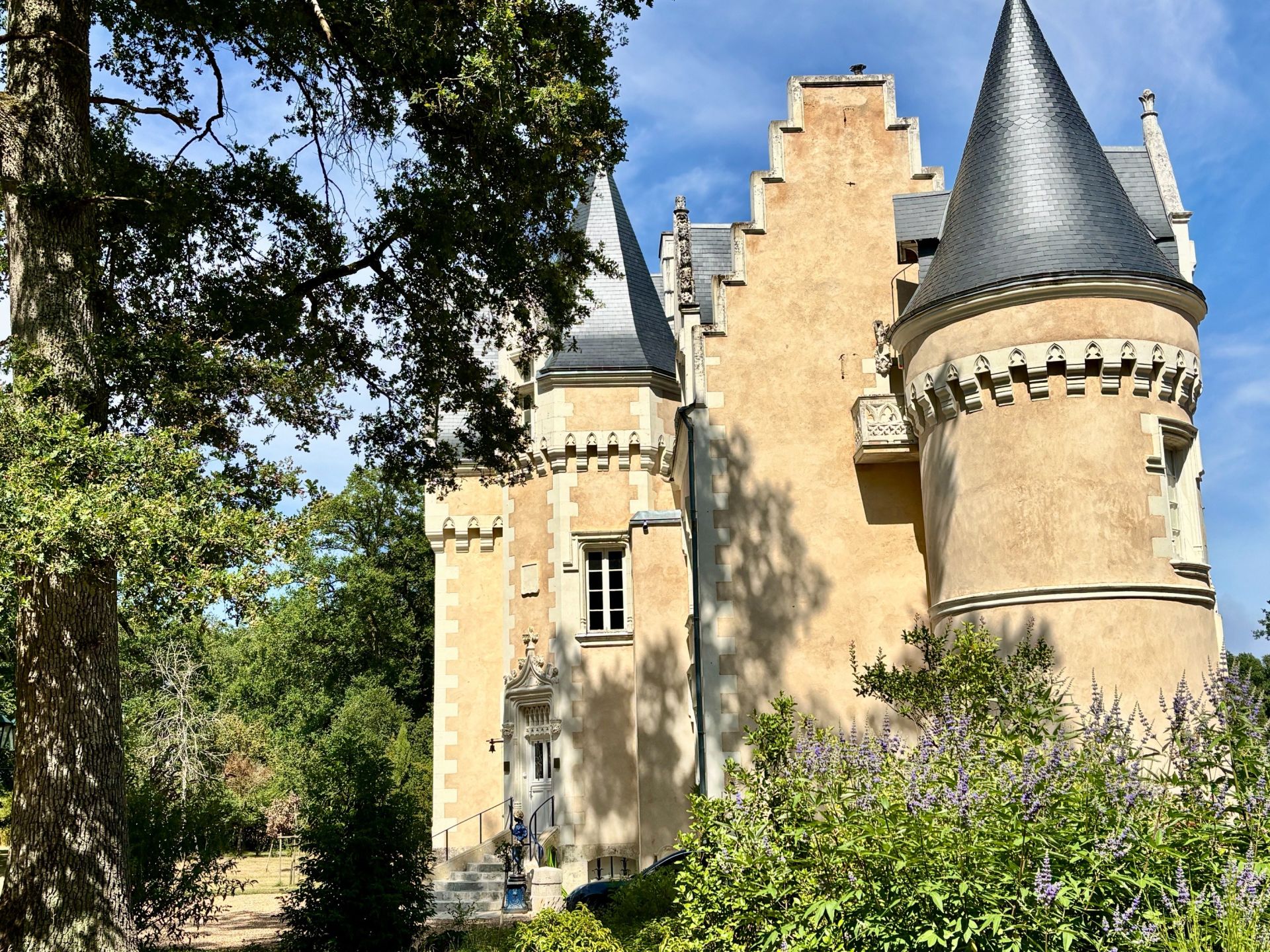 château 8 Pièces en vente sur GENILLE (37460)
