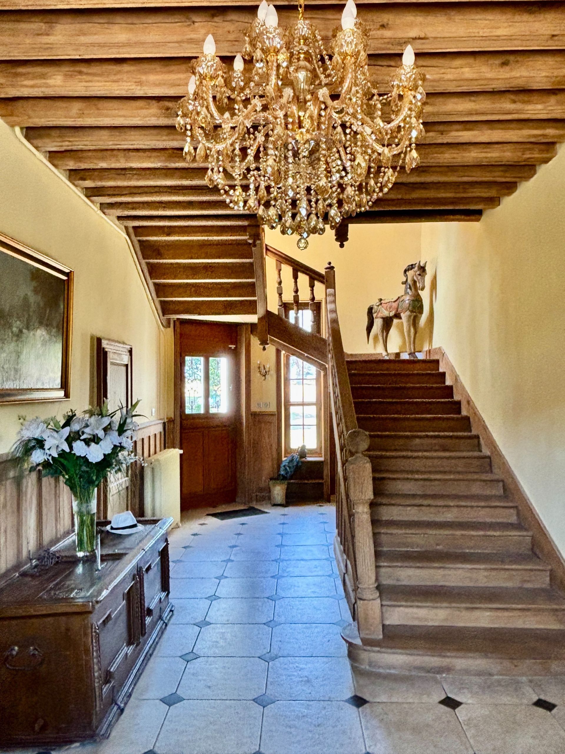château 8 Pièces en vente sur GENILLE (37460)