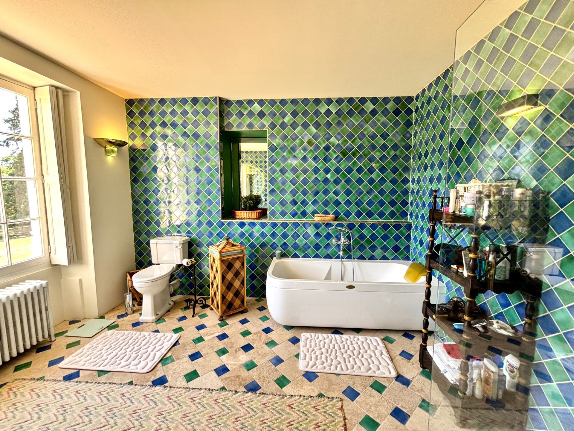 château 8 Pièces en vente sur GENILLE (37460)