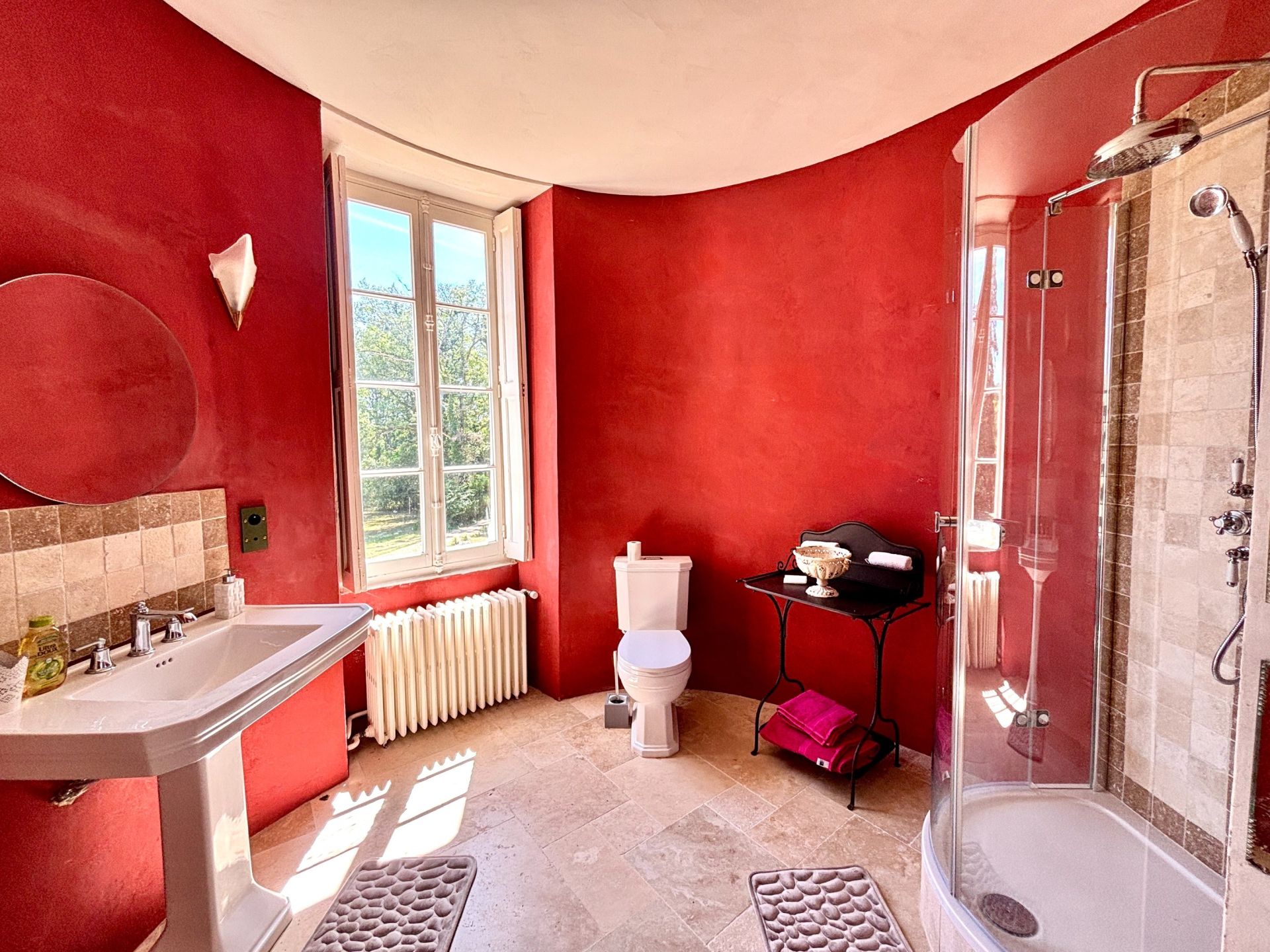 château 8 Pièces en vente sur GENILLE (37460)