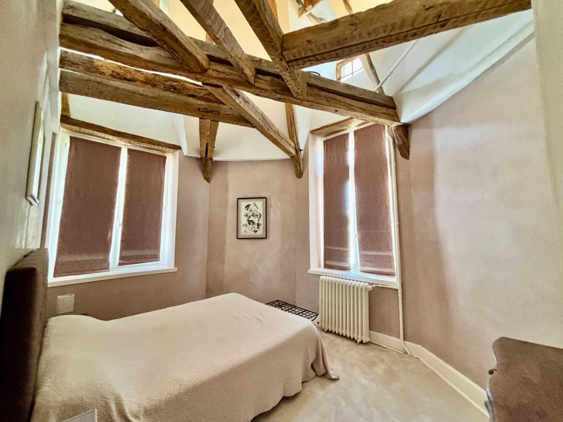 château 8 Pièces en vente sur GENILLE (37460)
