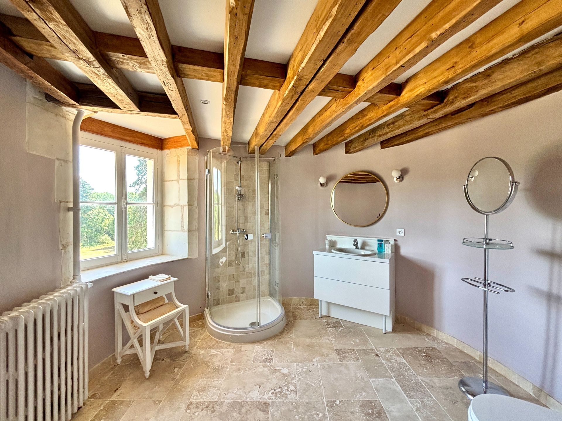 château 8 Pièces en vente sur GENILLE (37460)