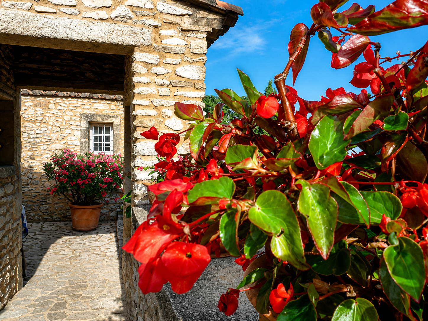 maison de luxe 44 Pièces en vente sur UZES (30700)