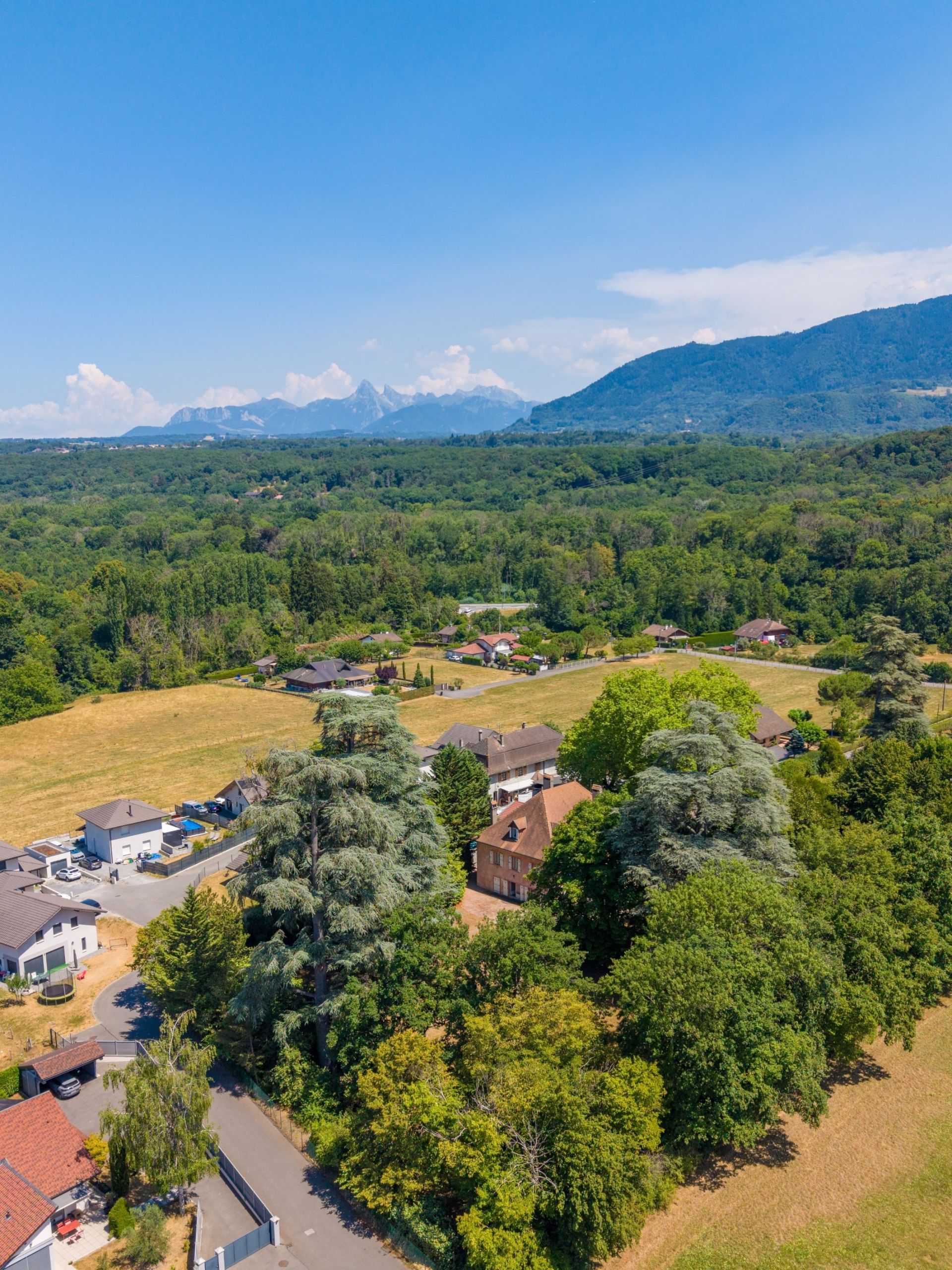 maison de luxe 10 Pièces en vente sur ALLINGES (74200)