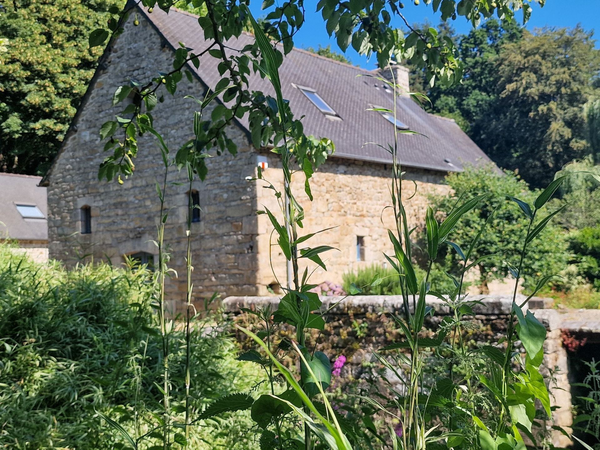 moulin 11 Pièces en vente sur GUINGAMP (22200)