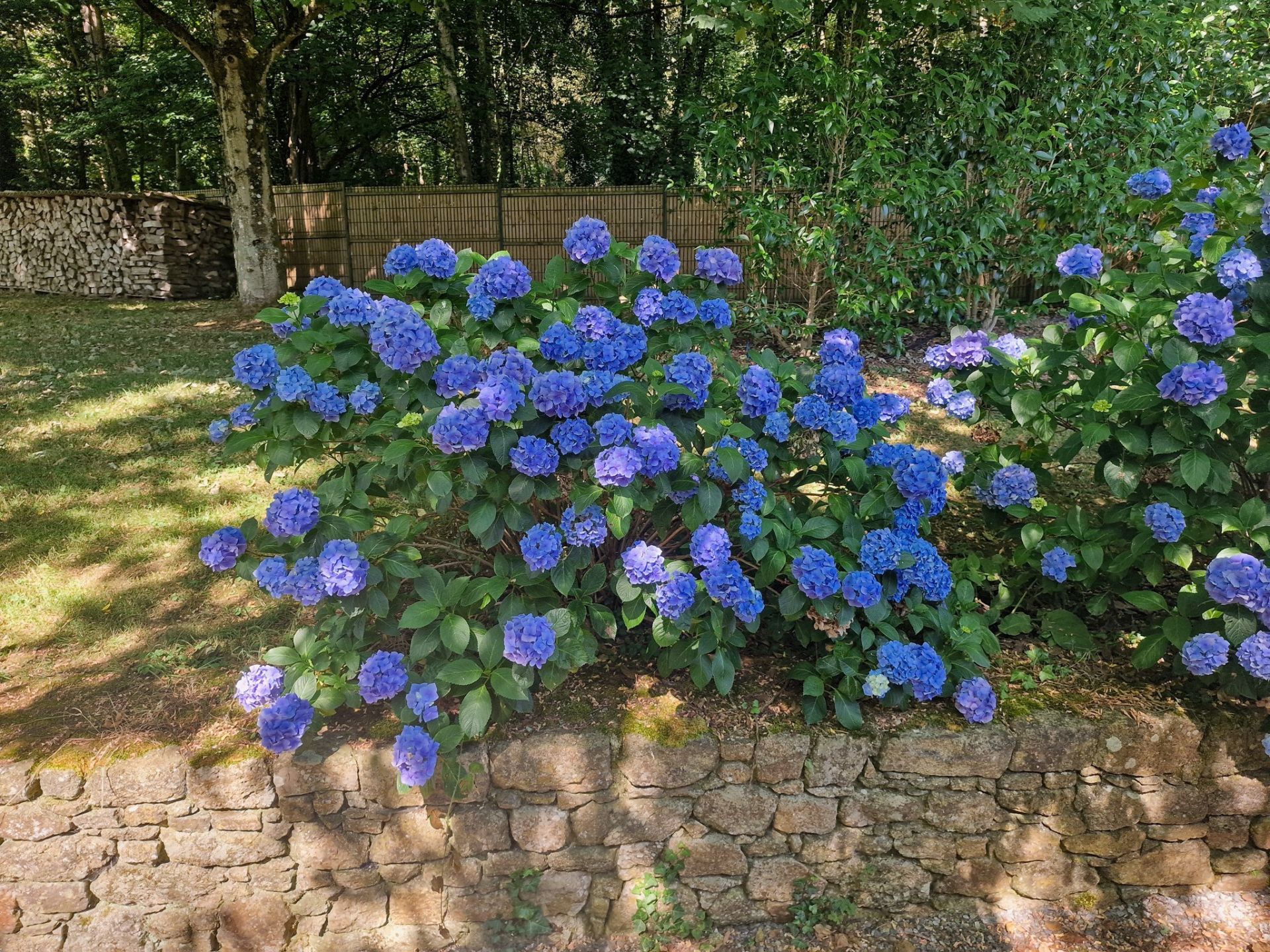 moulin 11 Pièces en vente sur GUINGAMP (22200)