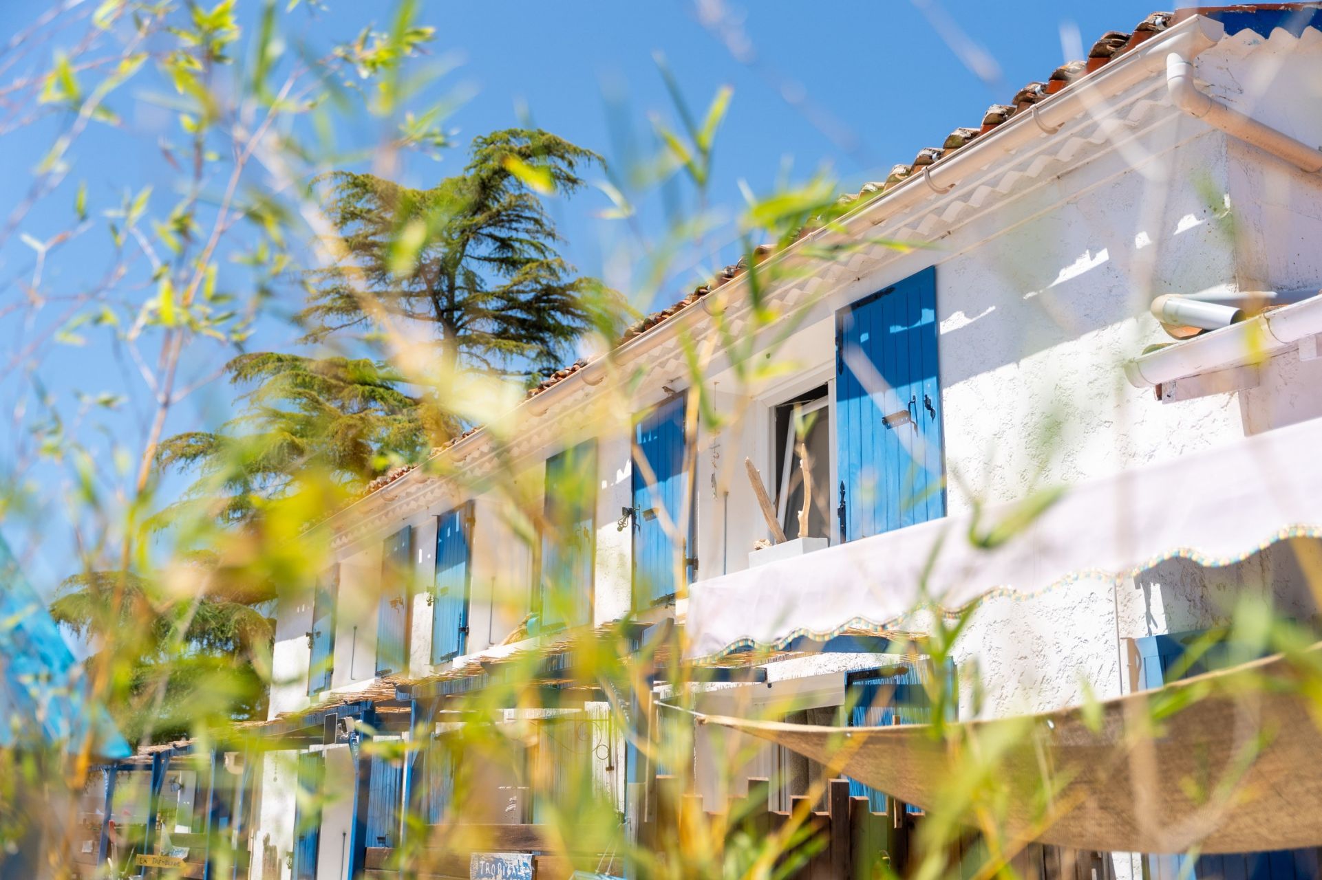 luxury house 17 Rooms for sale on ST SULPICE DE ROYAN (17200)