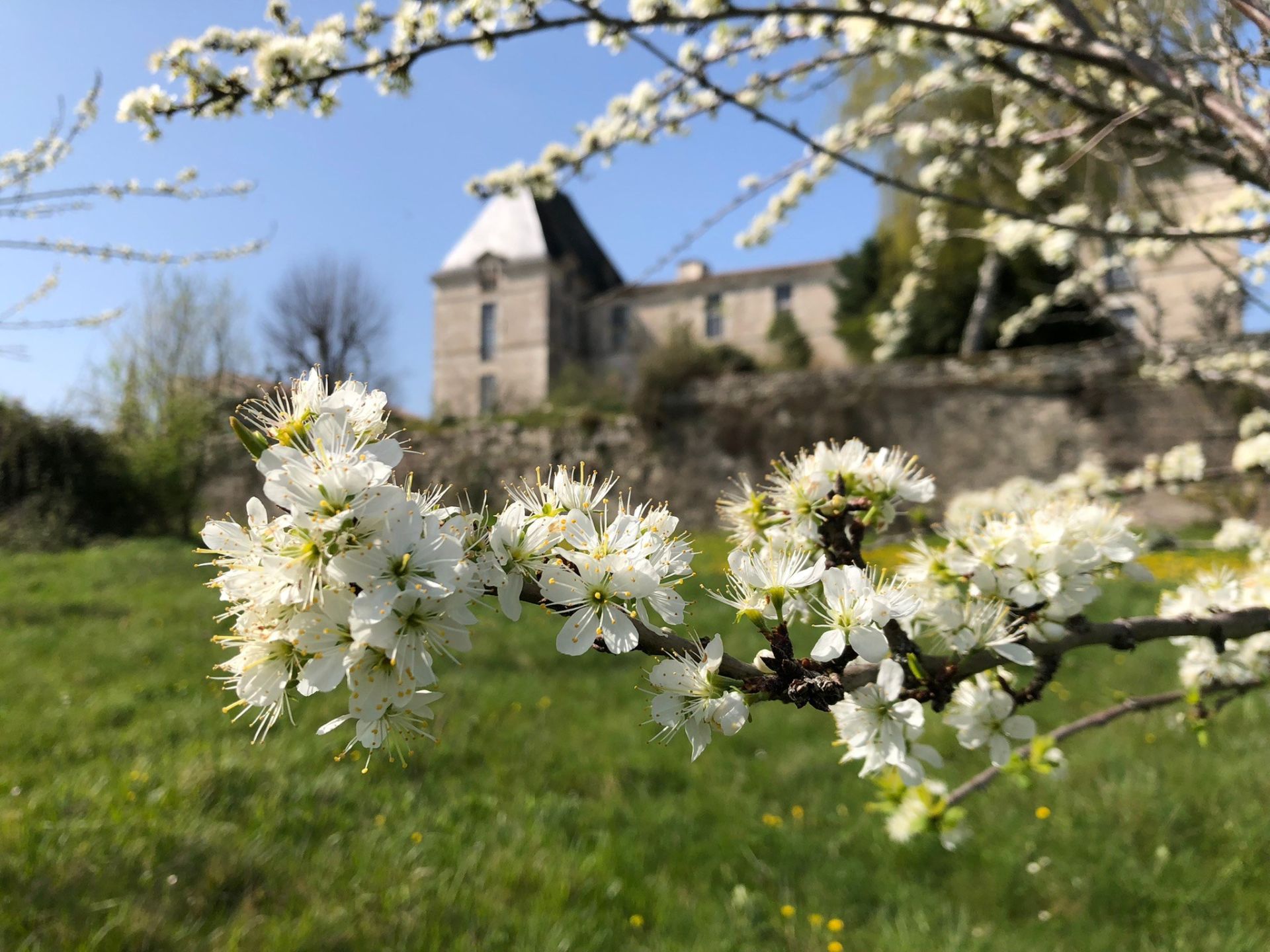 maison de luxe 7 Pièces en vente sur BERGERAC (24100)