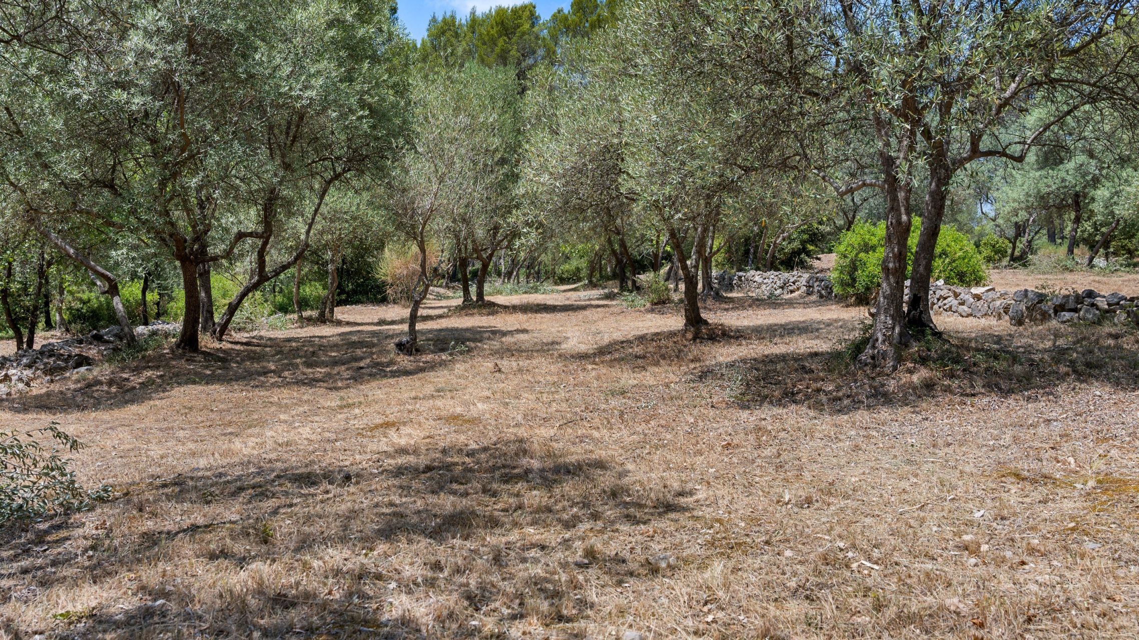 luxury provencale house 6 Rooms for sale on DRAGUIGNAN (83300)
