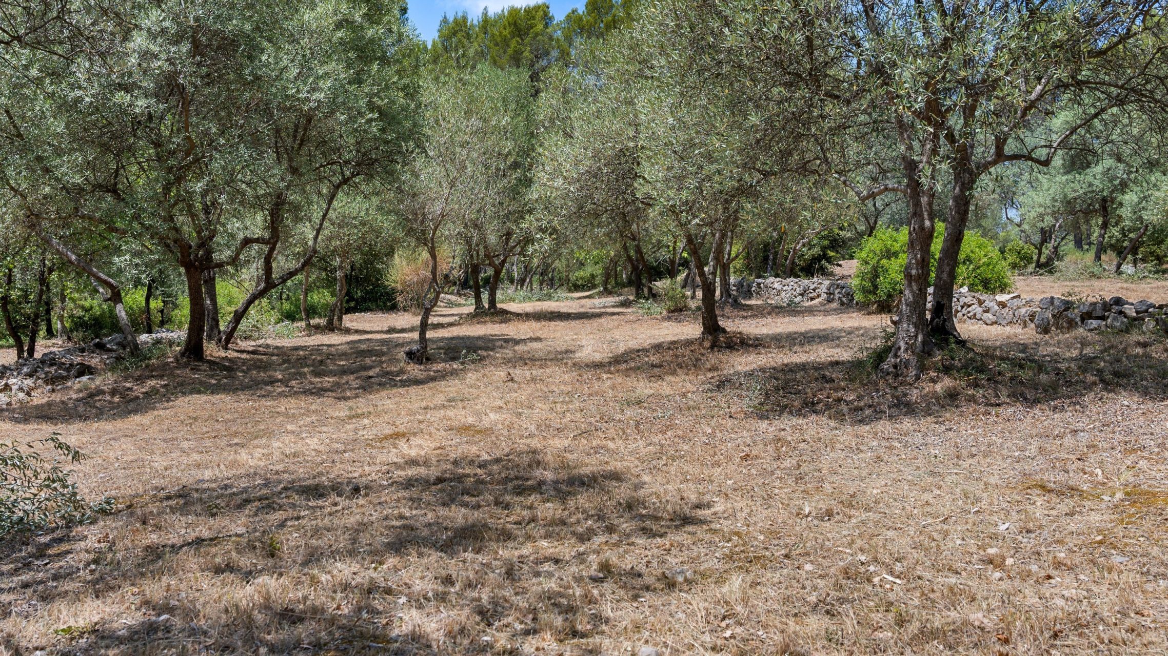 luxury provencale house 6 Rooms for sale on DRAGUIGNAN (83300)
