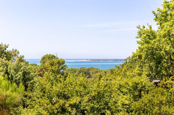 Vente Maison de luxe Pyla-sur-Mer 6&nbsp;Pièces 280&nbsp;m²