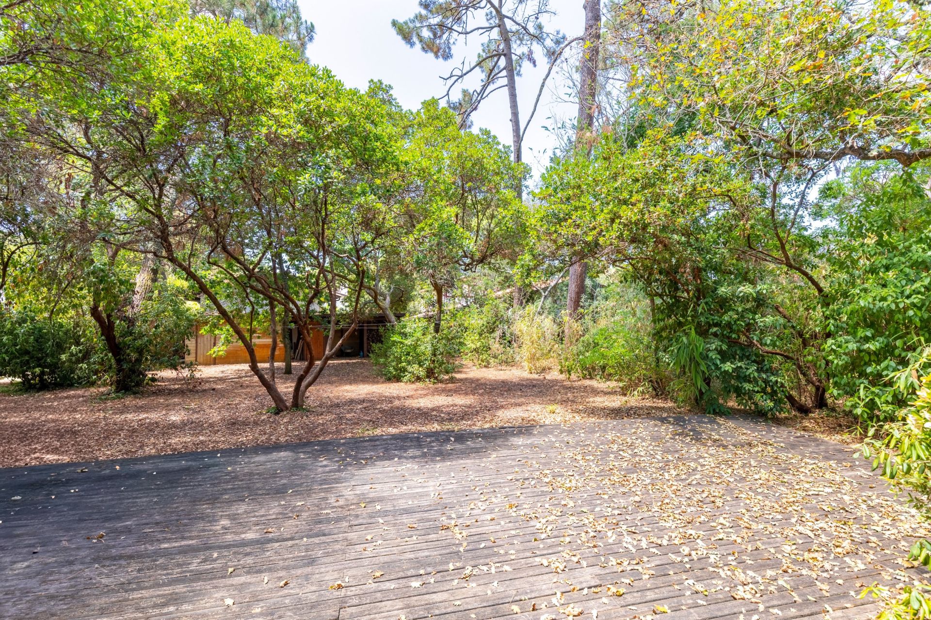 maison de luxe 7 Pièces en vente sur PYLA SUR MER (33115)