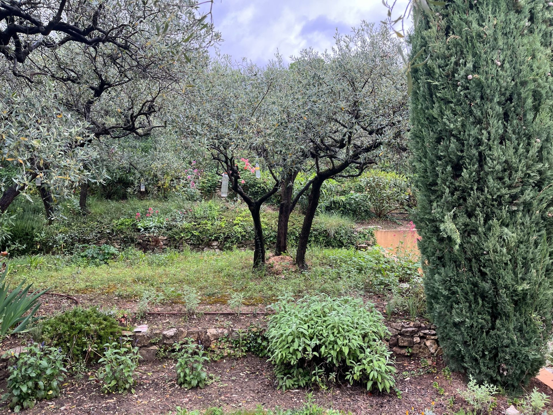 maison provençale de luxe 5 Pièces en vente sur NYONS (26110)