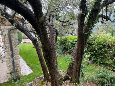 Vente Maison provençale de luxe Nyons 5&nbsp;Pièces 240&nbsp;m²