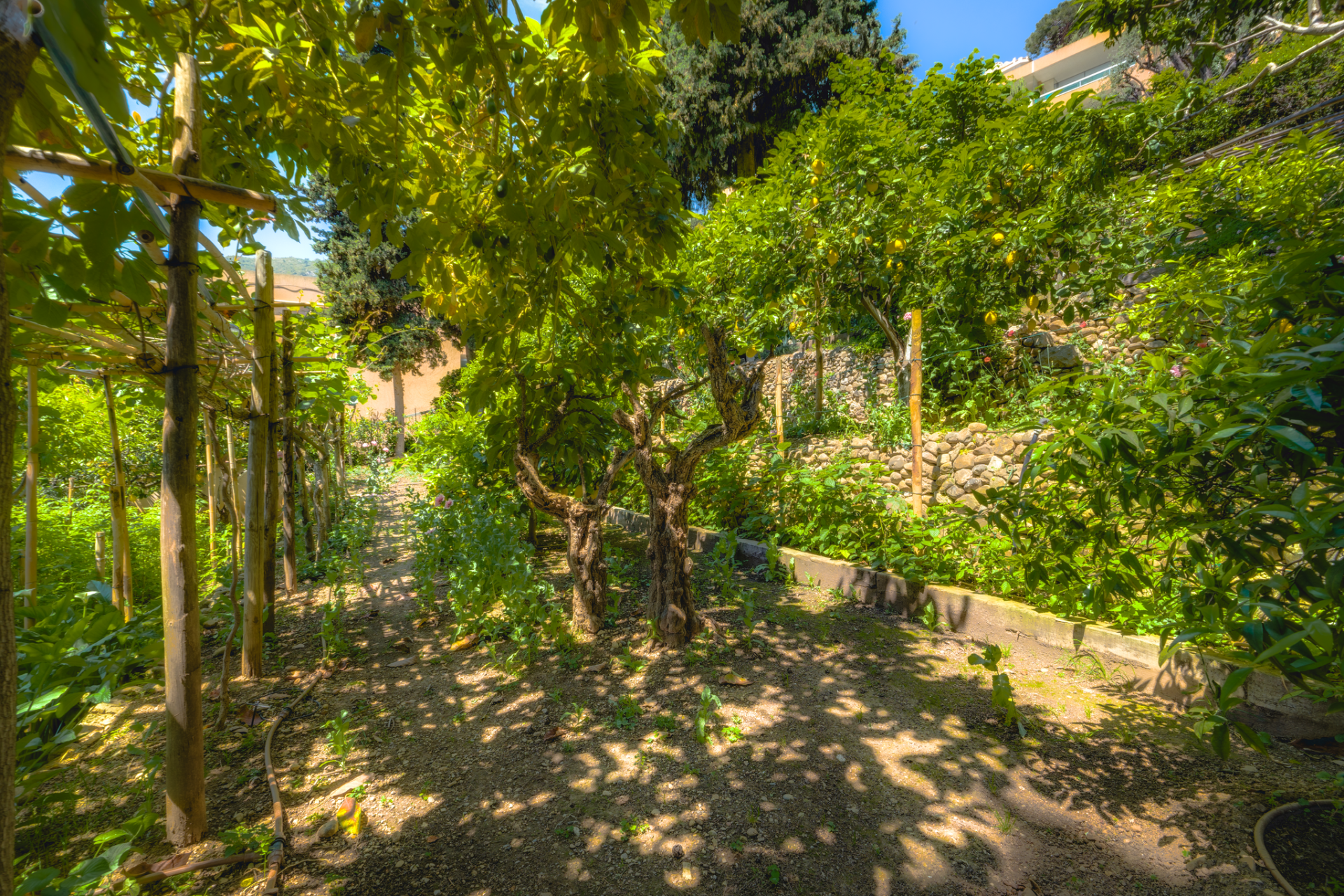 luxury provencale house 8 Rooms for sale on ROQUEBRUNE CAP MARTIN (06190)