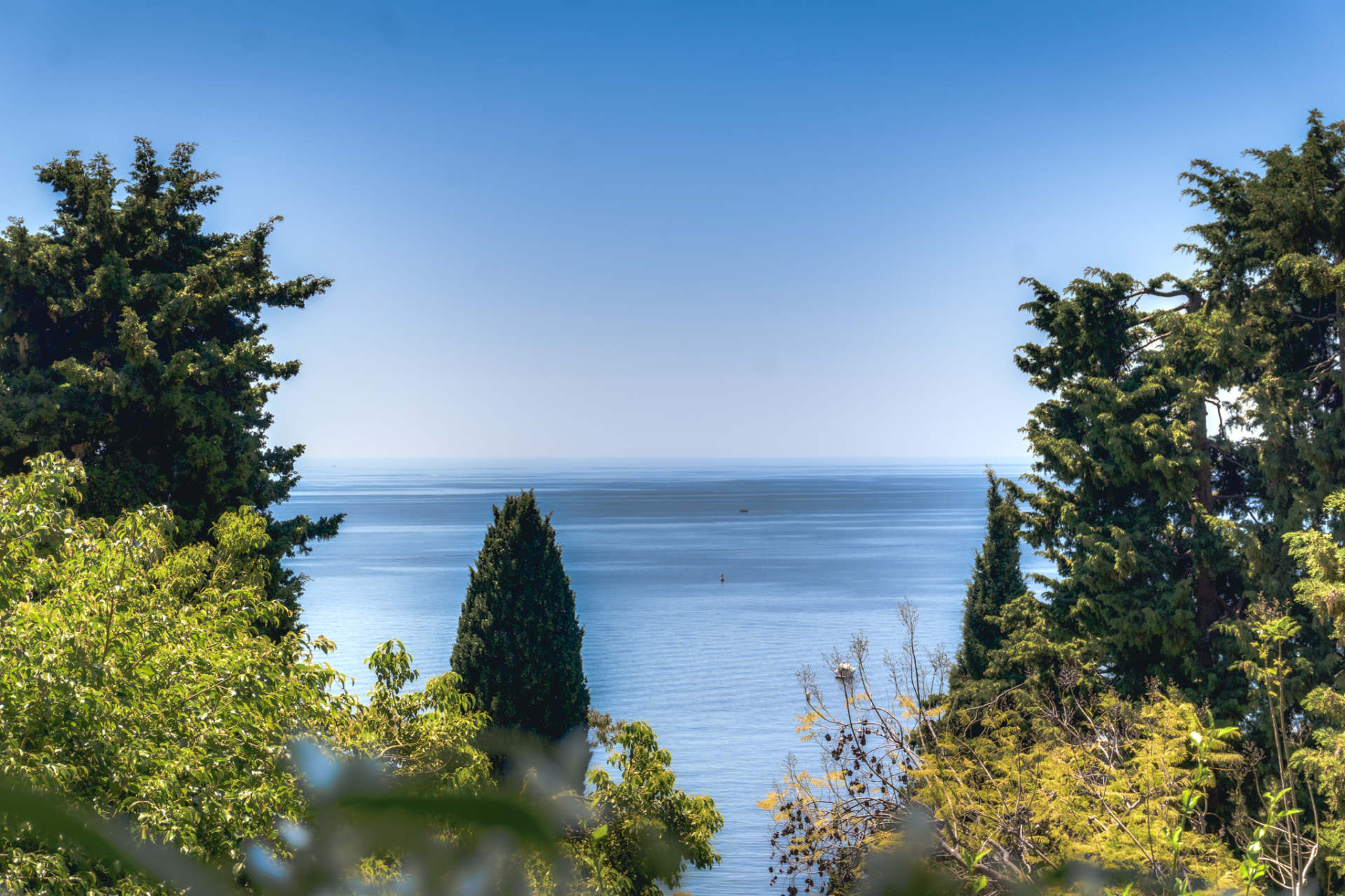 maison provençale de luxe 8 Pièces en vente sur ROQUEBRUNE CAP MARTIN (06190)